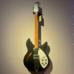 Rickenbacker 330 - one of the best
