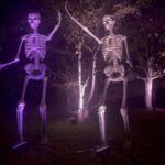 Skeletons Galore at Kew Gardens