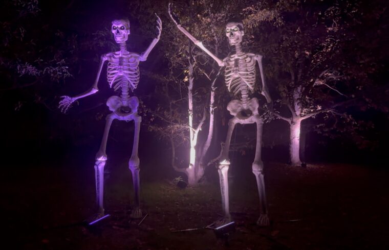 Skeletons Galore at Kew Gardens