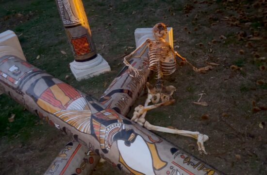 Skeletons Galore at Kew Gardens